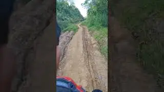Belum Tersentuh Pembangunan, Beginilah Kondisi Akses Jalan Menuju Sungkung di Bengkayang Kalbar