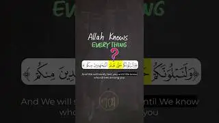 Doesn't Allah Already Know Your Future? So Why Test You? #Quran #islam #Arabic #arabic101