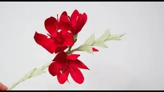 PAPER FLOWERS STEP BY STEP TUTORIAL / Hesperantha Coccinea paper flower