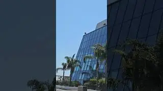 Palais des Festivals et des Congr&egrave;s de Cannes #palaisdesfestivals #cannes #france