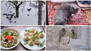 29 декабря 2025 г Краматорск. УТРО/Отдаленно 💥 но все🙏 Боюсь говорить/ Бюджетно и празднично👍Буся🐱