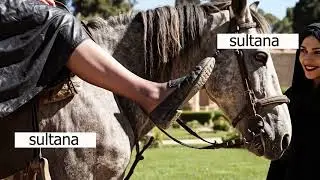 Horse Riding is my Therapy: Pure Peace