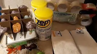How I get things for free from Menards! Rolling rebates!