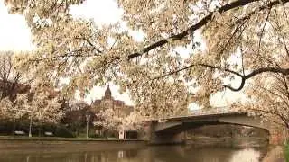 LeadSUS Leadership in Sustainability short movie by DENKSTATT