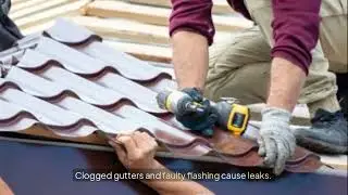 Roof Shingles in Lady Lake, FL  | RoofTek