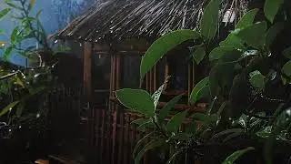 Rain Sounds for Sleep for Letting Go and Drifting into Calm Rest