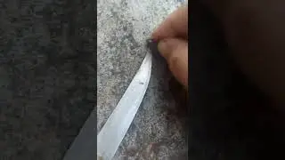 Mengasah pisau pake amplas