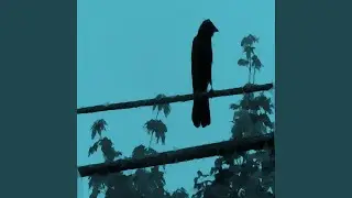 wh0 i Am