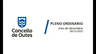 Pleno ordinario (decembro do 2025)