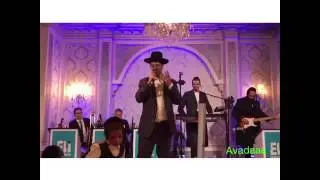 Yeedle Werdyger singing MBD's new song Bo'ee kallah at wedding יידל ורדיגר