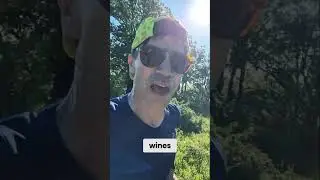 Abruzzo's Beauty: Mountains, Pasta, and Wine! #shorts