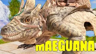 COMO TAMEAR MAEGUANA y TODAS SUS HABILIDADES (PC, PS, Y XBOX) - ARK Survival Ascended