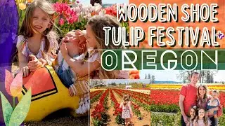 O R E G O N +  M A G I C A L . T U L I P . F I E L D S || April 2021