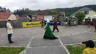 N&Ouml; Landesmeisterschaft Medieval Armored Combat 2025 Pyhra // Schwert Schild Finale