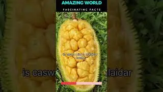 Marvels of the Cempedak A Nutrient Rich Tropical Delight#fruitknowledge #fruitoftheearth #fruit