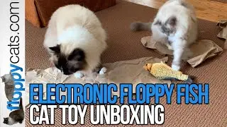 Flapping Fish Cat Toy - Floppy Fish Electronic Cat Toy Unboxing