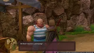 Dragon Quest XI Side Quest 40 My Kingdom for Kanaloamari Guide
