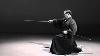 Iaido Kata Seitei 02 Nihon me   Ushiro   High quality