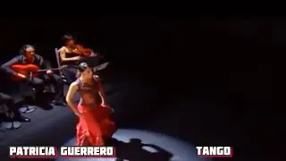Patricia Guerrero. Tango #music #dance #patriciaguerrero #flamengo 
