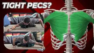 Chest Mobility: 30 Mins a Day for 30 Days - The Mobility Project | Ep. 3