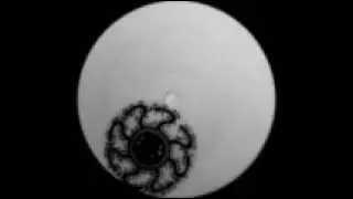 Pongo&iuml;d / Spukkin faceship - Electric Mayhem EP (Spaz records) 1998. B1: Untitled.