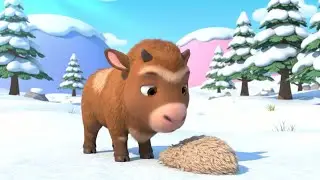 Oops! Baby Musk Ox Dropped the Wool | Nursery Rhymes for Kids & Baby Songs