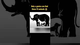 Challenge is find 13 animals|test your iq🔥#iq#viral#trend#optical illusion#shorts