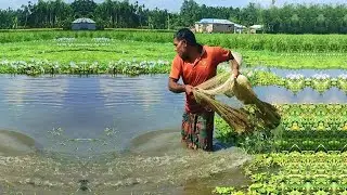 Amazing Fishing Skill - Best Cast Net Fishing - Fishing by Poor and Skilled Fisherman