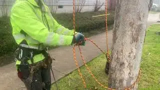 How to tie a secure base anchor for SRS tree climbing