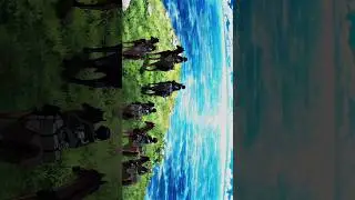 view in AOT🕊️ || call of silence #attackontitan #aot #shingekinokyojin #snk #anime