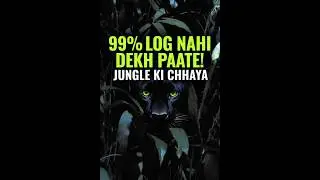जंगल का 