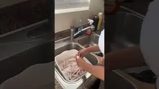 Dally This Dally That Pt2 | Making Chicken Broth From Scratch