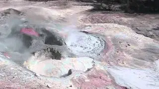 Sulphur Caldron - Yellowstone