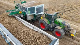 Fendt Vario 728 Harvesting Potatoes