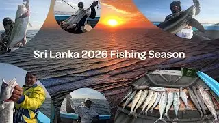Sri Lanka 2026 Fishing Season | Two Trolls, One Tradition 🎣