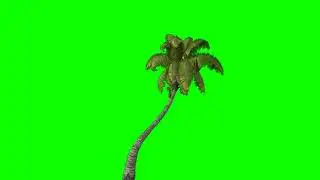 Green Screen Tree Animations || Chroma key Tree Effects || No Copyright Claim || Free To Use