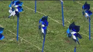 Pinwheels planted to raise awareness on child protection