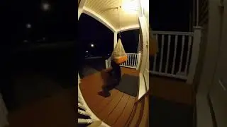 Free package&hellip; or trap? 😳 #viralvideo #funny #youtubeshorts