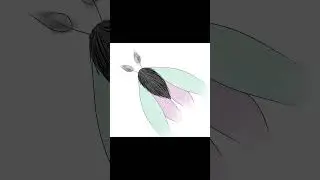 moth drawing