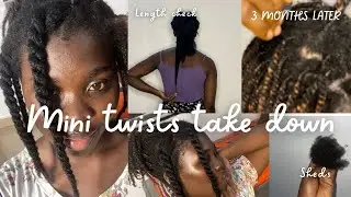3 Months old mini twists take down, length check and regrets😞