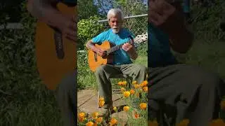 Holy Now Cover by Doug Sheehy