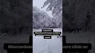 𝗕𝗜𝗕𝗟𝗜𝗔 CUV&Acirc;NTUL LUI DUMNEZEU PENTRU ASTĂZI Mesagerul 🕊️