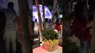 Design district Miami, Saturday night jazz music