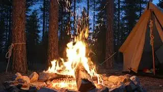 Crackling Campfire in the Forest | Floway