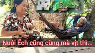 Cô Hiền sau hơn một tháng chăn nuôi vịt, ếch và cái kết