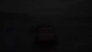 Wreckfest w/Friends