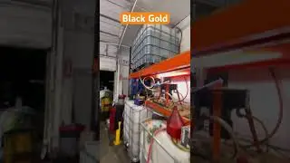 Making ￼black Diesel #blackdiesel #biofuel