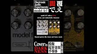 Cover in DARKNESS: Electronic Audio Experiments - model feT V2