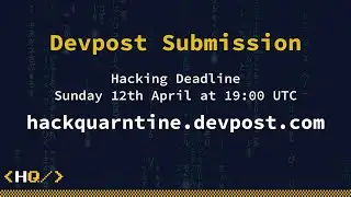 🦉 How to Submit a Superb Submission! | Hack Quarantine