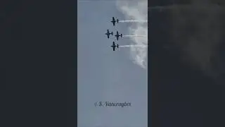 #redbull #flying #airshow #inverted #flyby #extra #extra300 #plane #aviation #youtubeshorts